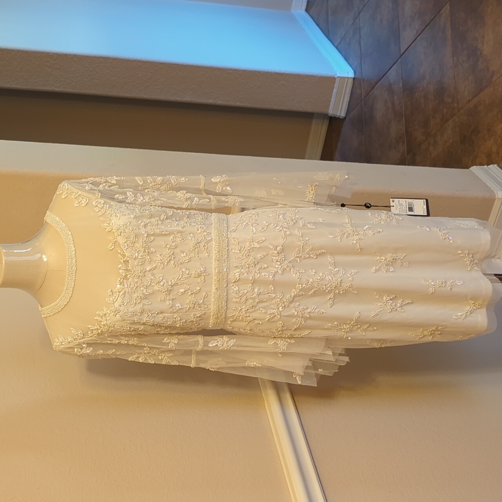 NWT Adrianna Papell Dress